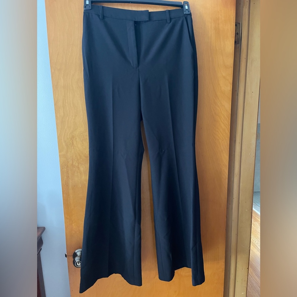 NWT Express Dress Pants